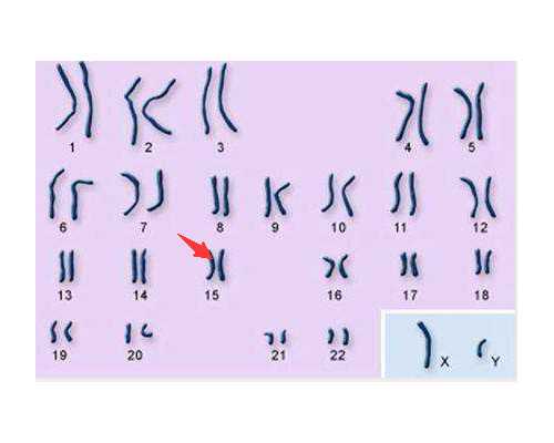 代生试管，胚胎质量很好但是移植却失败了是什么原因？