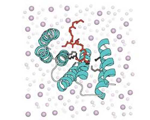 性激素六项检查后说有点多囊…… 天津有代生吗