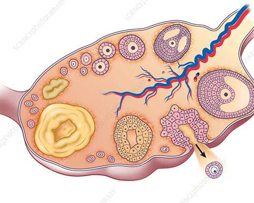 代生助孕，胚胎质量很好为什么不着床？胚胎移植失败的原因？